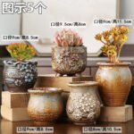 Indoor Plant Pot BD – Handmade Decorative Clay Flower Pot Set - Image 7