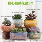 Indoor Plant Pot BD – Handmade Decorative Clay Flower Pot Set - Image 6
