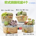 Indoor Plant Pot BD – Handmade Decorative Clay Flower Pot Set - Image 8
